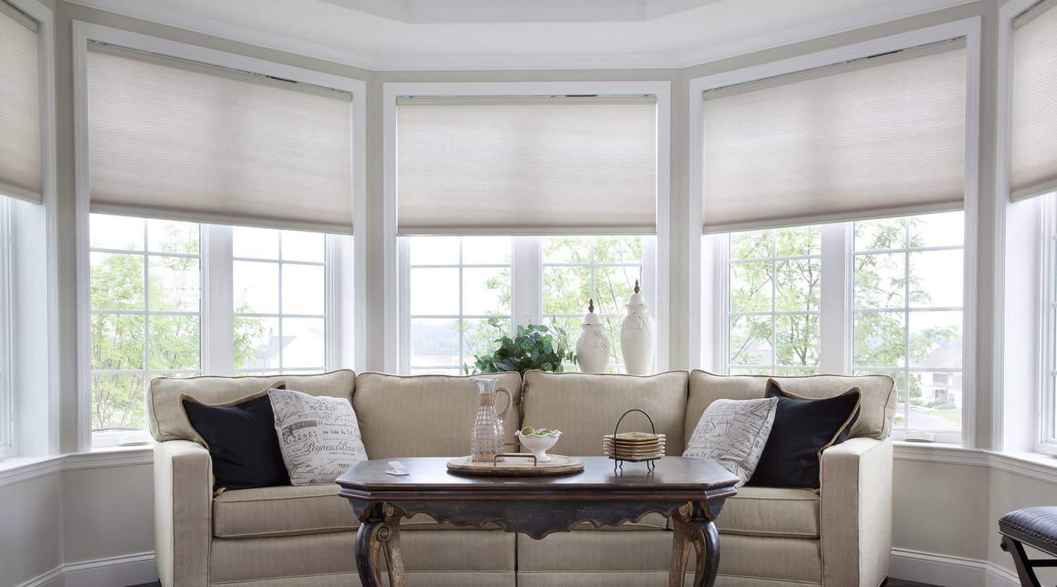 Lutron Serena shades